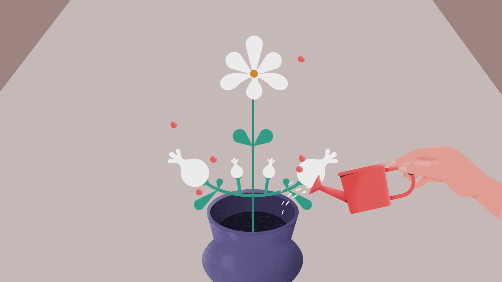 Plant Tips Motion Design Frame 3
